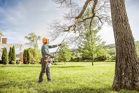 How Our Tree Care Process Works  in  Liberty, NC